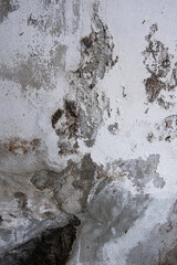 Concrete wall with black mold grunge texture