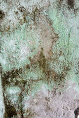 Concrete wall with mildew grunge wallpaper texture