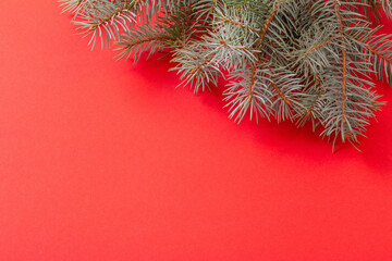 green fir branches on red christmas background