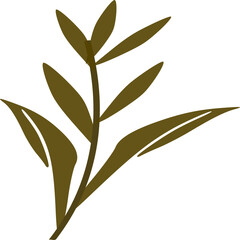 leaf plant, branch leaves