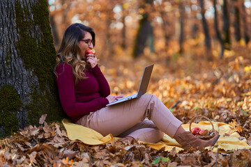 Businesswoman working on laptop in the forest