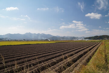 Fototapeta na wymiar 丹波篠山　11月の田園風景