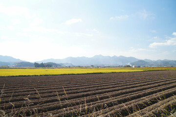丹波篠山　11月の田園風景