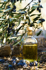 Olive oil with olive tree branch background. Natural oil for food or cosmetics from natural...