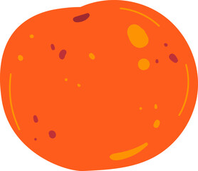 Citrus fruit orange healthy vitamin isolated on white vector illustration. Juicy natural product half fresh organic food