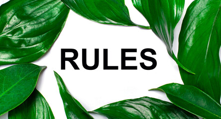 Against the background of green natural leaves, a white card with the text RULES