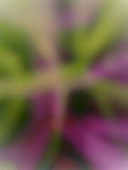 abstract degrade green and pink background 