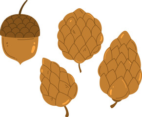 Acorn or pine tree cone vector illustration isolated on white background