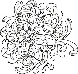  flower  line drawing vector. Modern single line art, aesthetic contour. Perfect for home decor such as posters, wall art	
