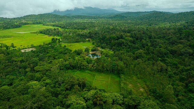 Aerial view of a beautiful landscape with green forests and meadows in Coorg, India