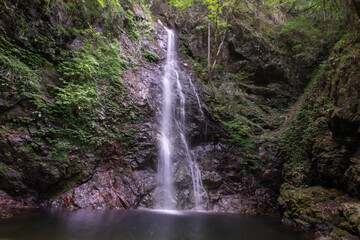 waterfall in the forest in japan