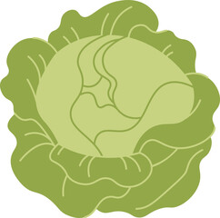 Cabbage flat icon Borscht preparation Soup ingredients