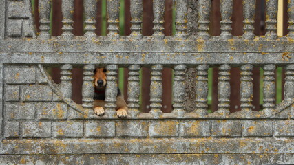 smutek i nostalgia © Marek Polak