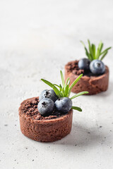 Two chocolate brownies decorated with blueberries and rosemary isolated on white textured background, Minimal composition. Space for text