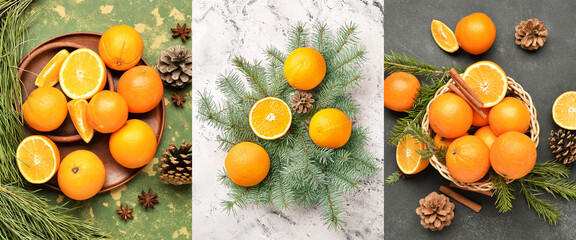 Collage with sweet oranges and fir branches, top view - obrazy, fototapety, plakaty