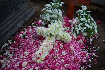 Selective focus on sprinkling flowers at a funeral.
