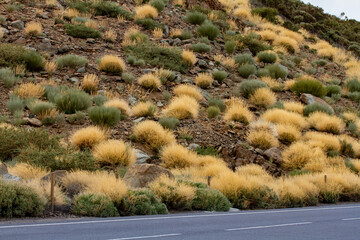Tenerife 2022