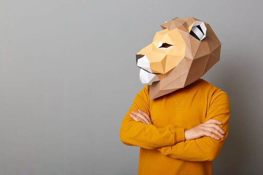Horizontal shot of man wearing orange jumper and lion paper mask standing isolated over gray background, looking away at advertisement area, copy space for promotional text.