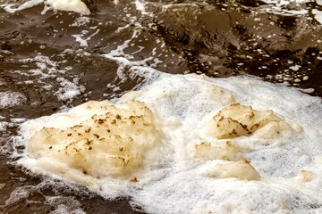 Foam on the river after a waterfall close - up . Russia. Ural.