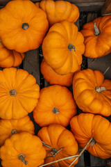 Orange pumpkins on wooden stand, top view
