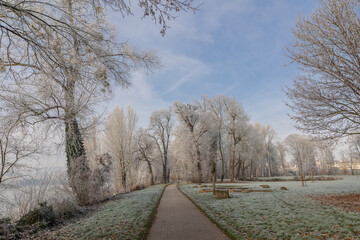Hoar frost on trees and grass in a park with a footpath