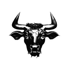 Bull head. Doodle sketch. Vector illustration. Isolated on white background.