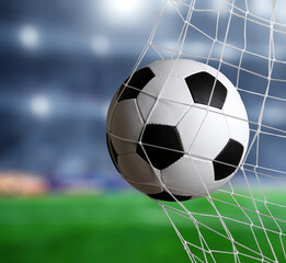 Soccer ball in the net