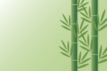 Fototapeta na wymiar Green bamboo stems with leaves and sunlight on pastel green background. Spa or Zen concept. copy space for the text. shadow overlay. illustration paper cut design style.