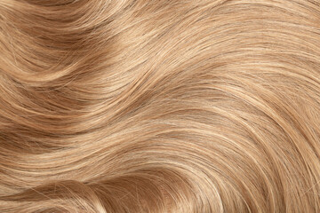 Blond hair close-up as a background. Women's long blonde hair. Beautifully styled wavy shiny curls. Hair coloring. Hairdressing procedures, extension.