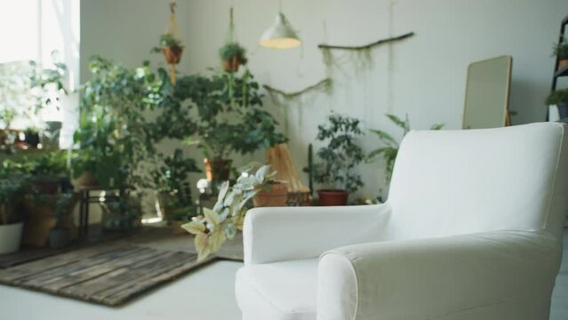 Zoom in shot of modern living room with biophilic interior decorated with green houseplants