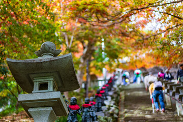 Obraz premium 神奈川県大山寺の階段