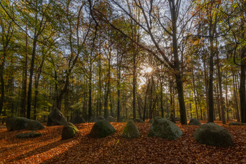 Fototapeta premium Großsteingräber im sonnigen Herbstwald.