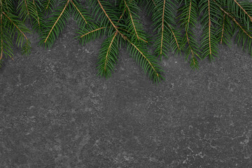 Christmas tree branches on a dark texture background, flat lay.