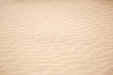 Fototapeta na wymiar Sandy beach for background. The texture of the sand. Top view of dunes in the desert.