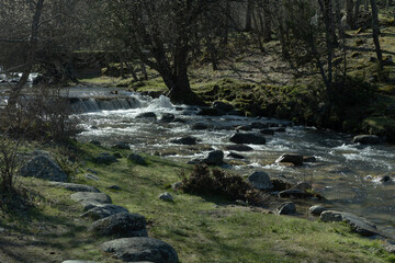 Obraz premium Río en montaña