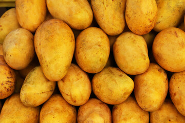 Pile of delicious ripe yellow mangoes, closeup