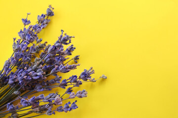 Beautiful lavender flowers on yellow background, top view. Space for text
