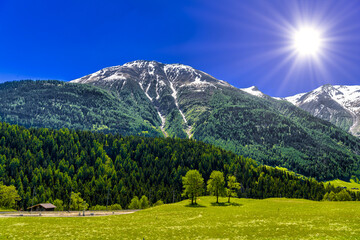 Alp mountains with forest and fields, Fiesch, Goms, Wallis, Vala