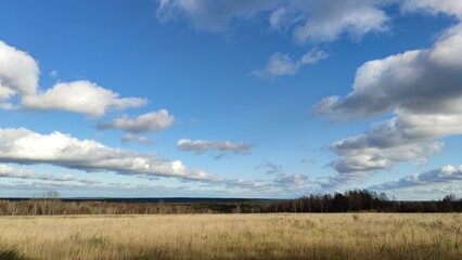 Clouds hang over the field in even rows. On an autumn sunny day, cumulus clouds hang over a distant forest and a meadow with yellowed grass. The White Clouds lined up in long, even rows.