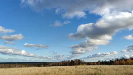 Obraz premium Clouds hang over the field in even rows. On an autumn sunny day, cumulus clouds hang over a distant forest and a meadow with yellowed grass. The White Clouds lined up in long, even rows.
