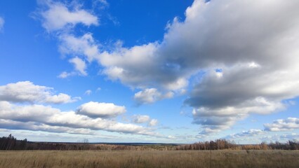 Clouds hang over the field in even rows. On an autumn sunny day, cumulus clouds hang over a distant forest and a meadow with yellowed grass. The White Clouds lined up in long, even rows.