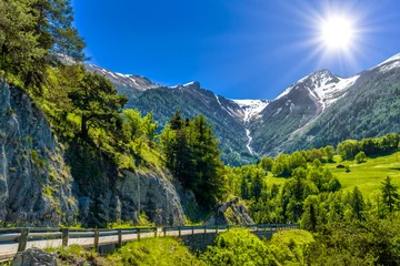 Fotobehang Swiss Alps mountains with trees, Moerel, Filet, Oestlich Raron, Wallis Valais Switzerland © Eagle2308