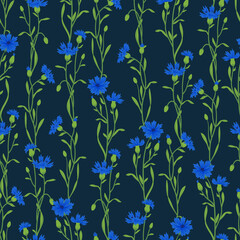 Fototapeta na wymiar Cornflower field vector seamless pattern. Summer wild meadow flower, honey plant texture. Knapweed blue background. Centaurea botanical floral design for textile, fabric, wrapping