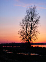 Sunset over the river. Orange sunset through the riverside trees