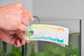 Hands holding neutral pH test in front of freshwater aquarium. Fish tank maintenance.