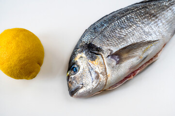 Part of shiny silver body of sea bream ( king bream, dorada), lemon on white .