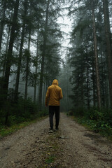 Obraz premium walking in the woods