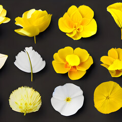 黄色い花や葉っぱが並んだイラスト