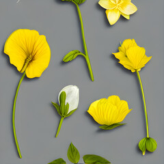 黄色い花や葉っぱが並んだイラスト