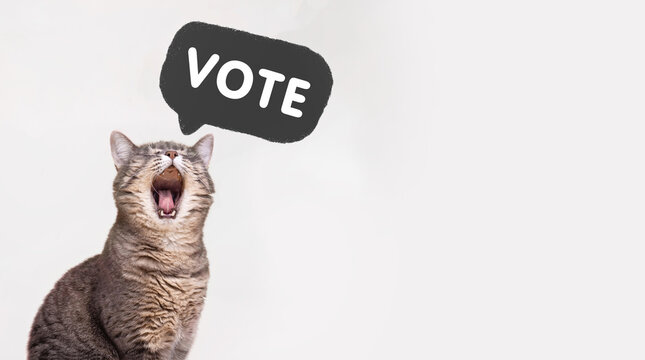 Voting in elections. Call to vote, banner. cat screaming the word VOTE. The concept of elections, voting.
